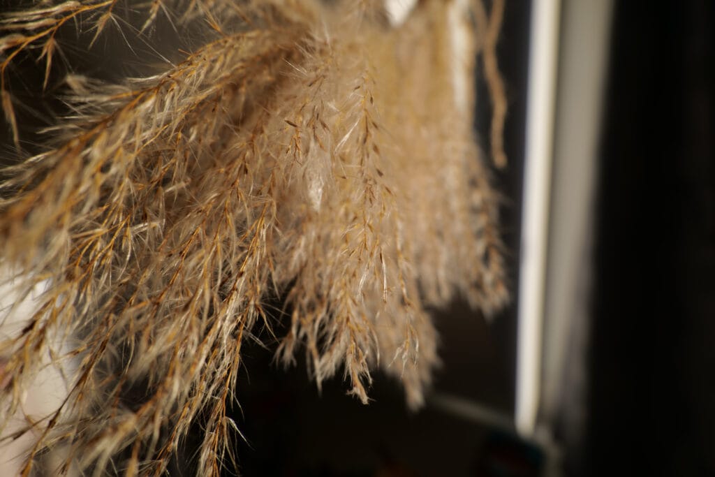 Photo Low ISO