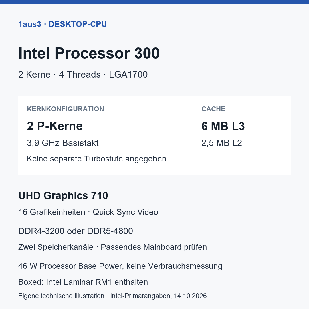 Intel Processor 300