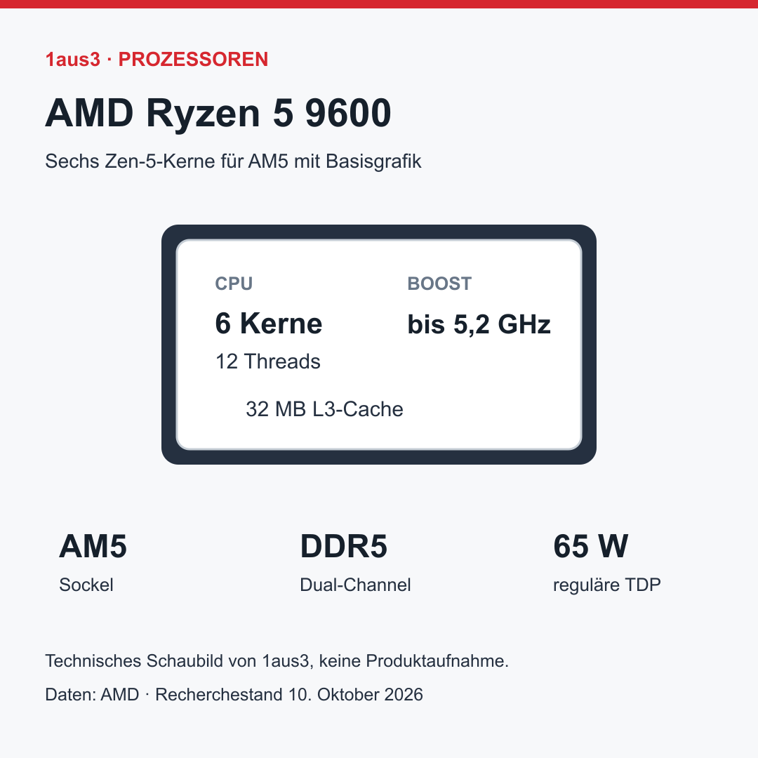 AMD Ryzen 5 9600