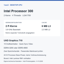 Intel Processor 300 im Review: zwei Kerne fürs Büro